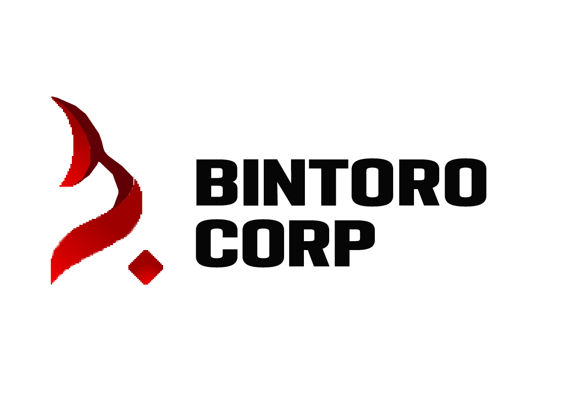 PT Bintoro Bangun Indonesia